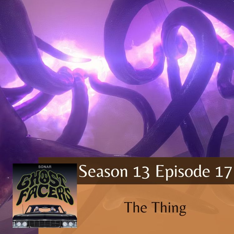 cover art for 13.17: The Thing