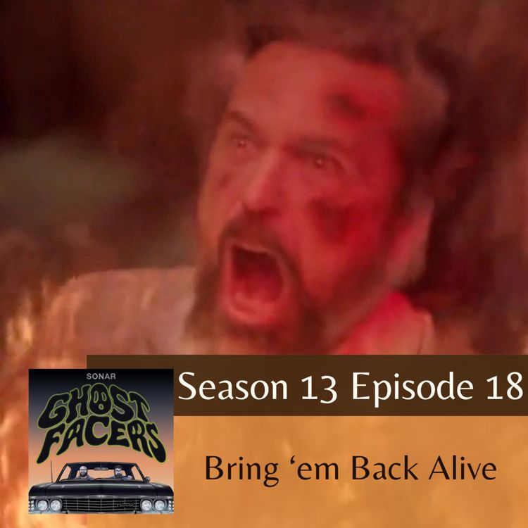 cover art for 13.18: Bring 'em Back Alive