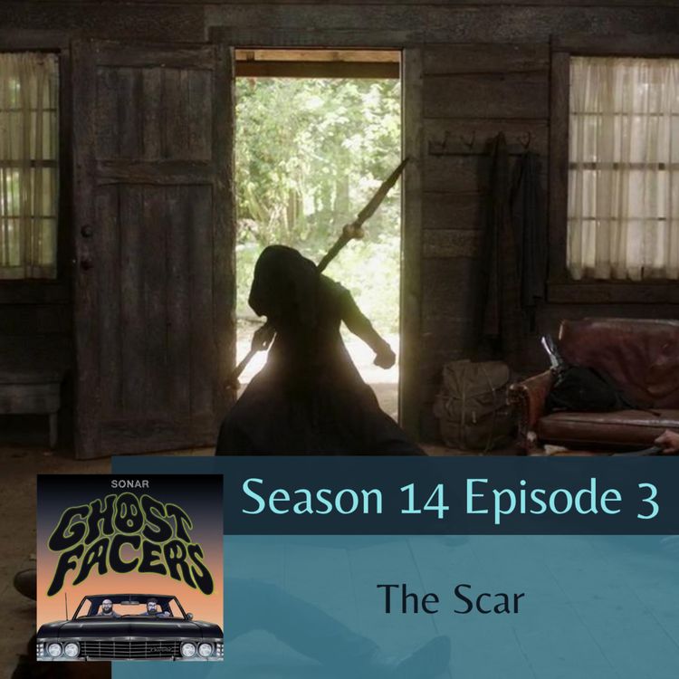 cover art for 14.03: The Scar