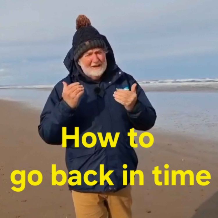 cover art for How to time travel - beginners guide