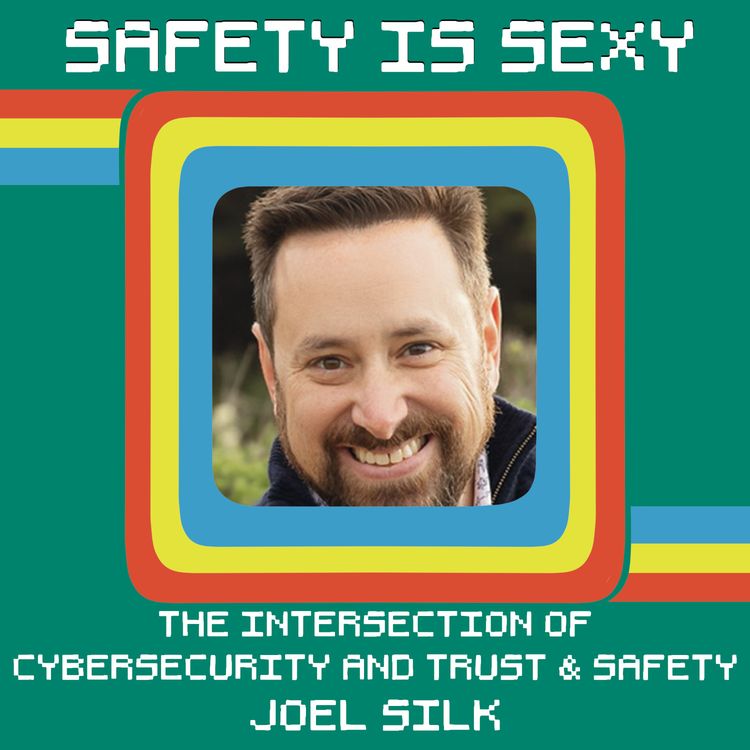 cover art for The Intersection of Cybersecurity and Trust & Safety with Joel Silk