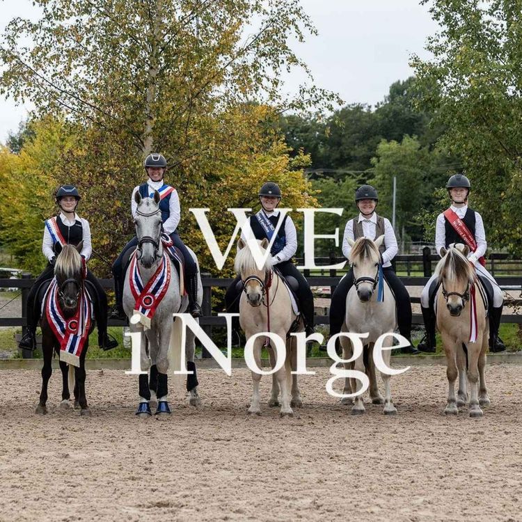 cover art for Åpen trening