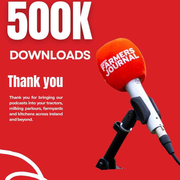 cover art for Mercosur Protest Brussels 