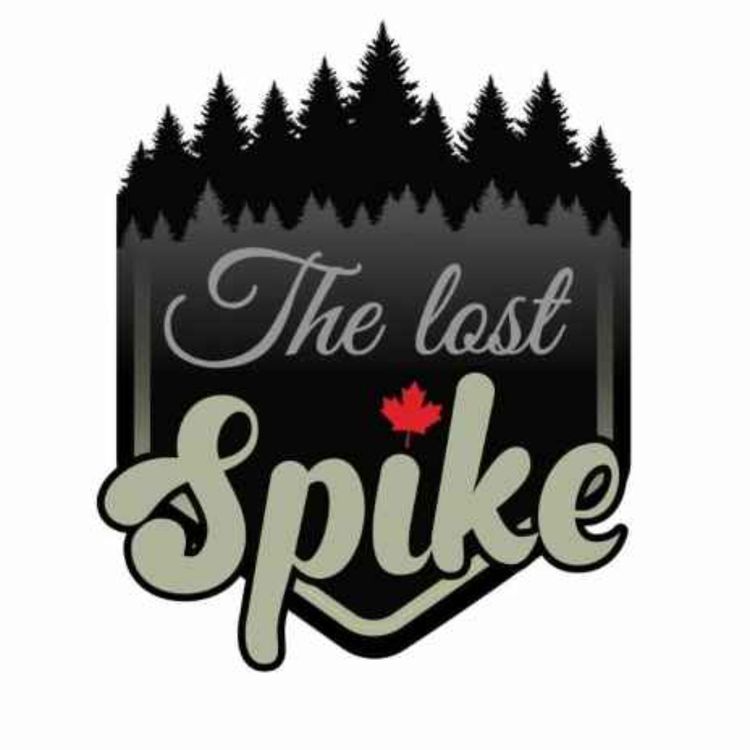 cover art for Unveiling the Journey with Zack - The Lost Spike