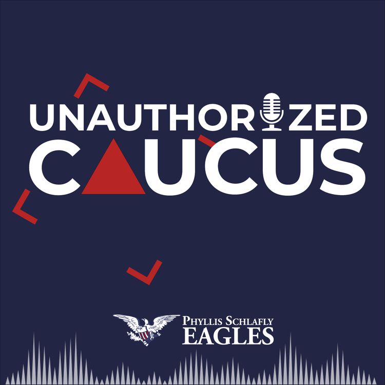 cover art for The Only Right In the Constitution