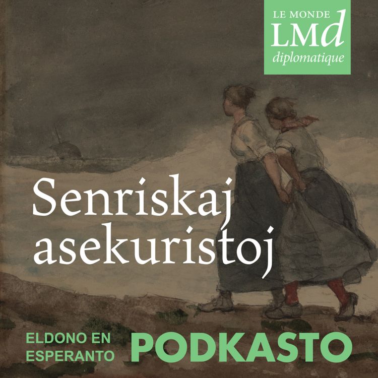 cover art for Senriskaj asekuristoj