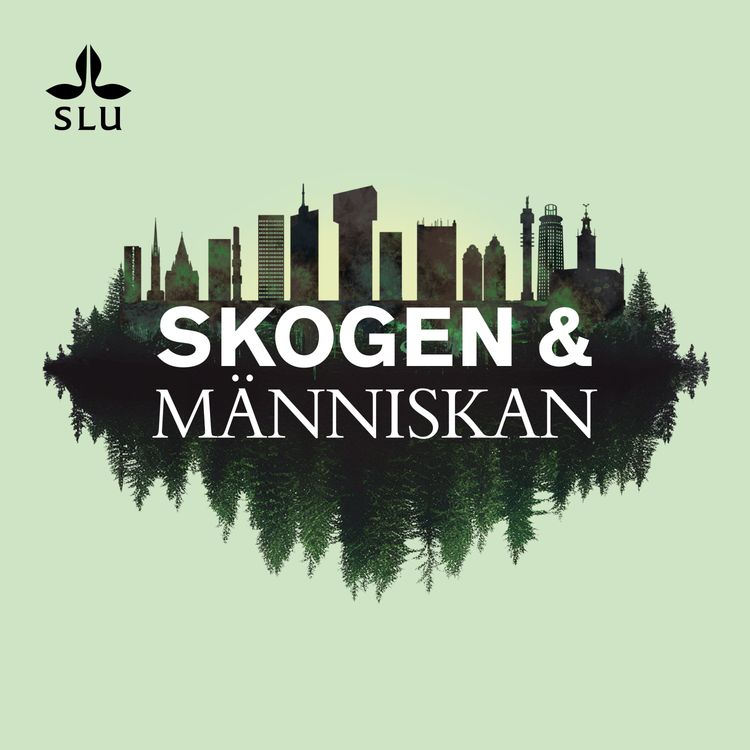 cover art for Trailer: Skogen & Människan säsong 2