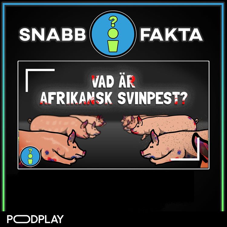 cover art for Vad är Afrikansk Svinpest?