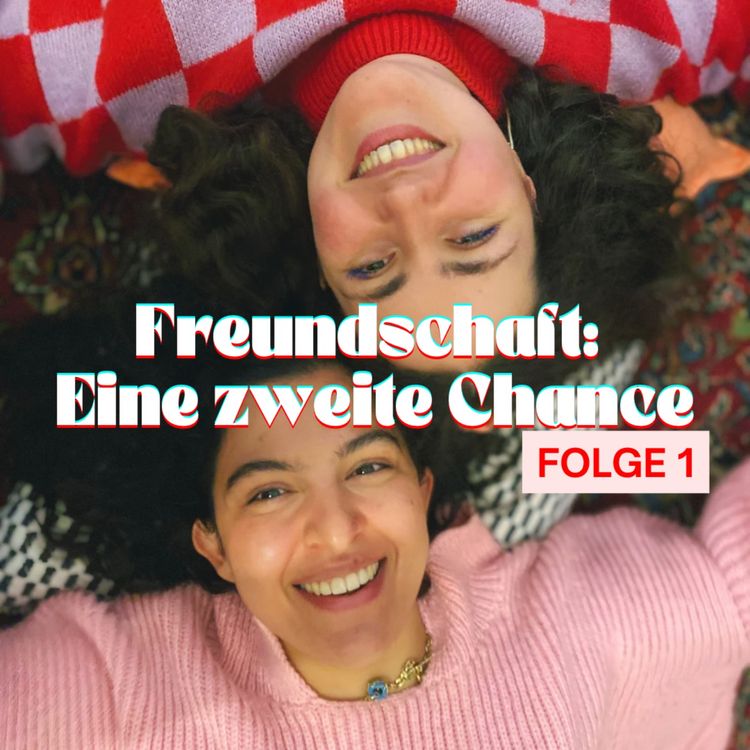 cover art for Freundschaft: eine zweite Chance