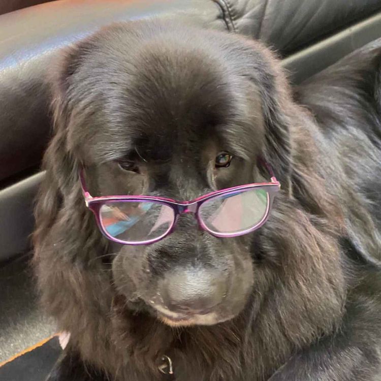 cover art for Episode 4 Rosie Part 2