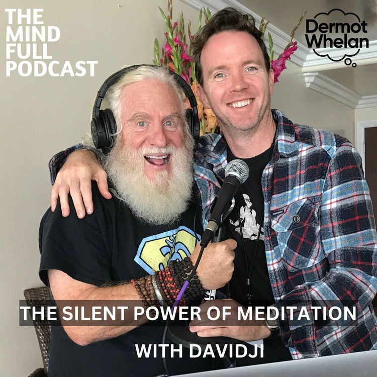 cover art for The Silent Power of Meditation with Davidji