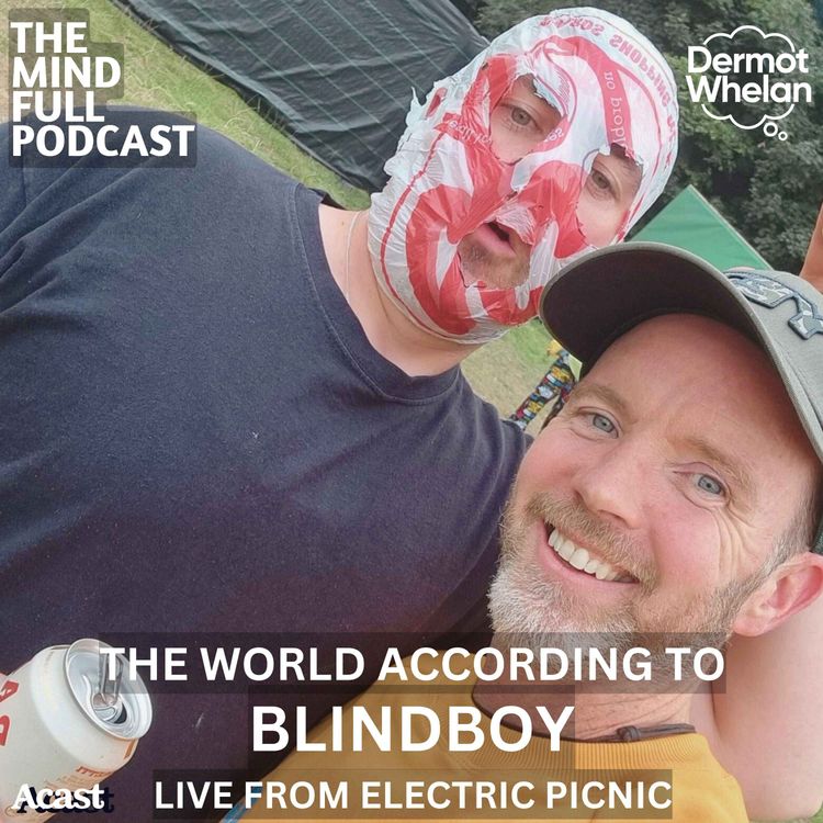 cover art for The World According to Blindboy (Live from Electric Picnic)