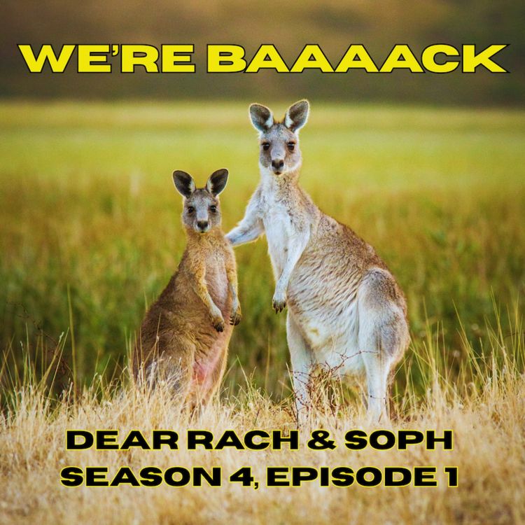 cover art for We're baaaaack - season 4 begins