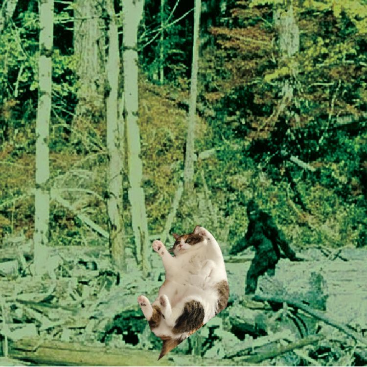 cover art for Harmlessness — with Gavin of Noise Beneath the Floor