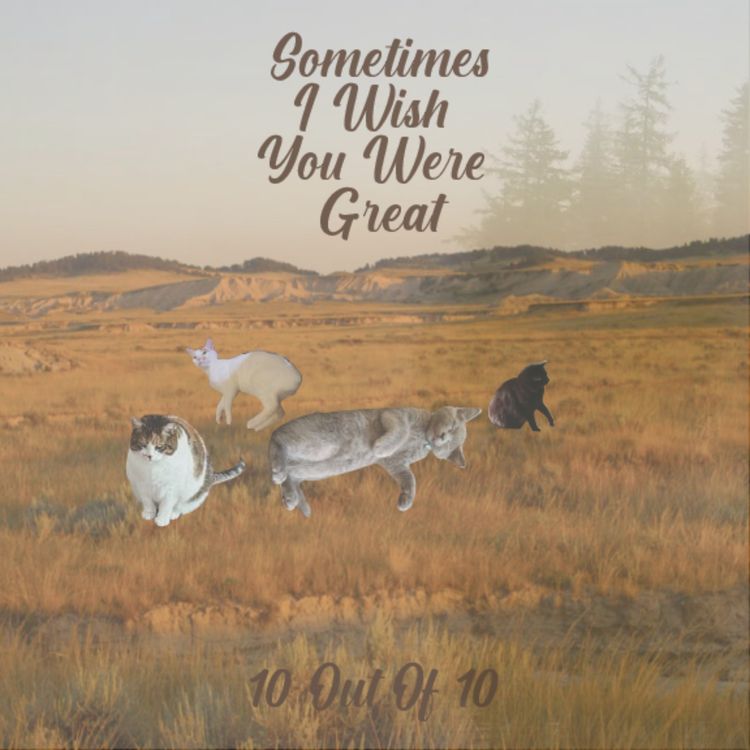 cover art for Sometimes I Wish We Were An Eagle