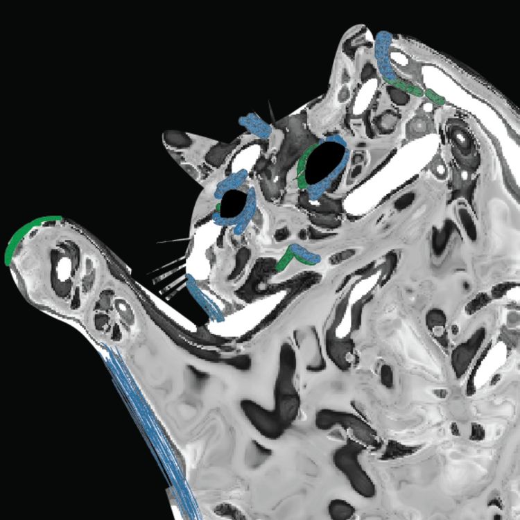 cover art for Five for Foxing: Foxing (S/T)