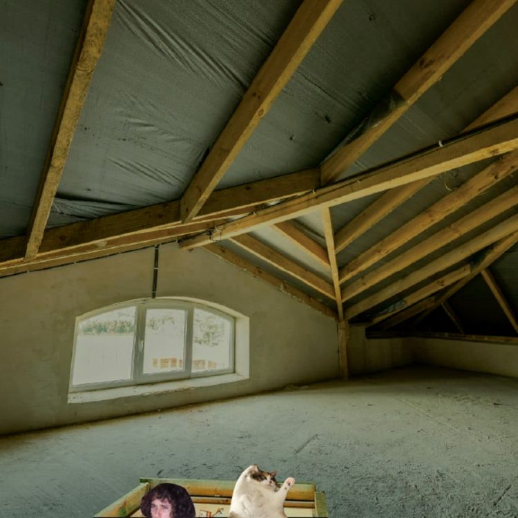 cover art for Yellow House