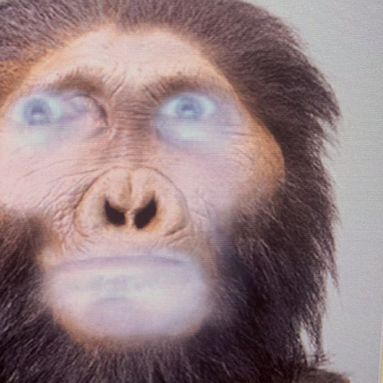 cover art for Richard D. James Album