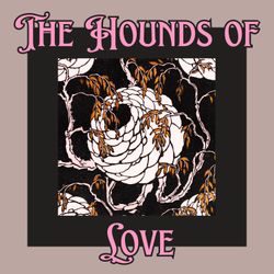 cover art for The Hounds of Love