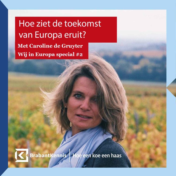 cover art for #8 Hoe ziet de toekomst van Europa eruit? – met Caroline de Gruyter