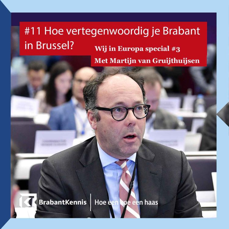 cover art for #11 Hoe vertegenwoordig je Brabant in Brussel? - met Martijn van Gruijthuijsen