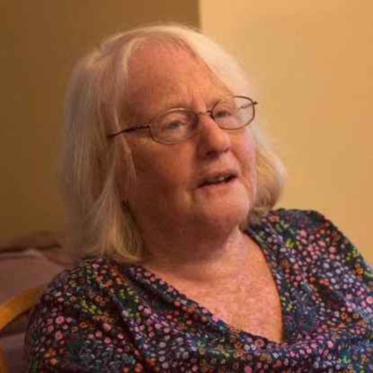 cover art for The Life of a Historian