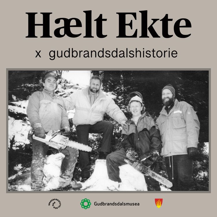 cover art for Historien om Kvitfjell ved Erik Winther 