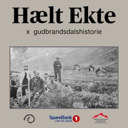 cover art for Hælt Ekte x gudbrandsdalshistorie