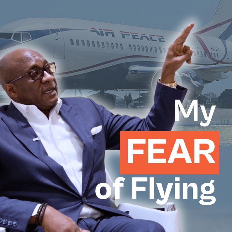 cover art for The Airline Boss Terrified of Flying: