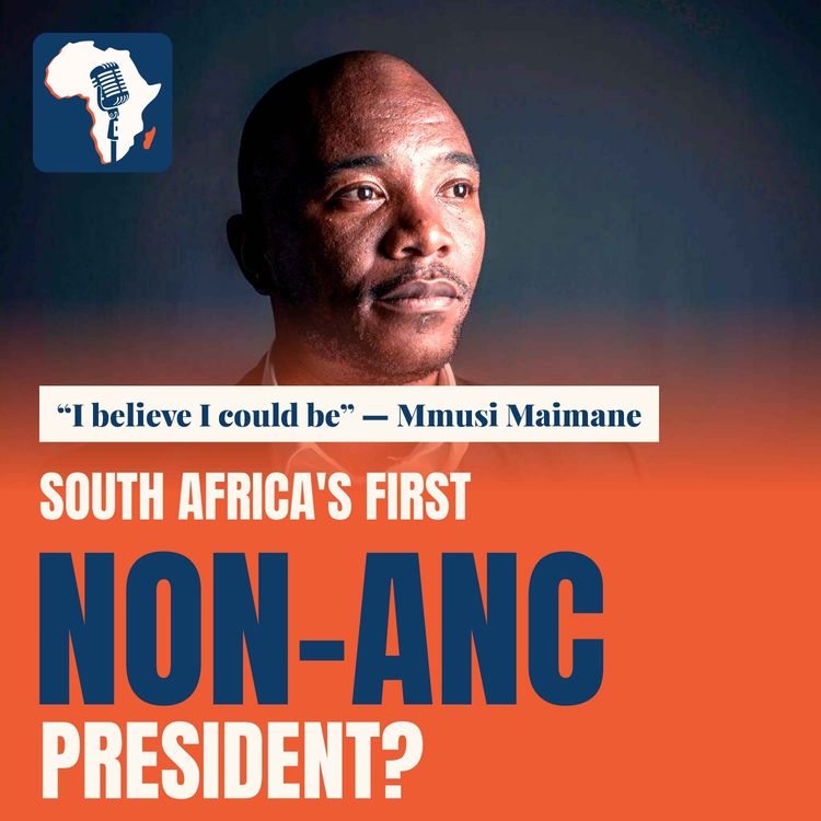 cover art for 2029 South Africa's First Non-ANC Leader?
