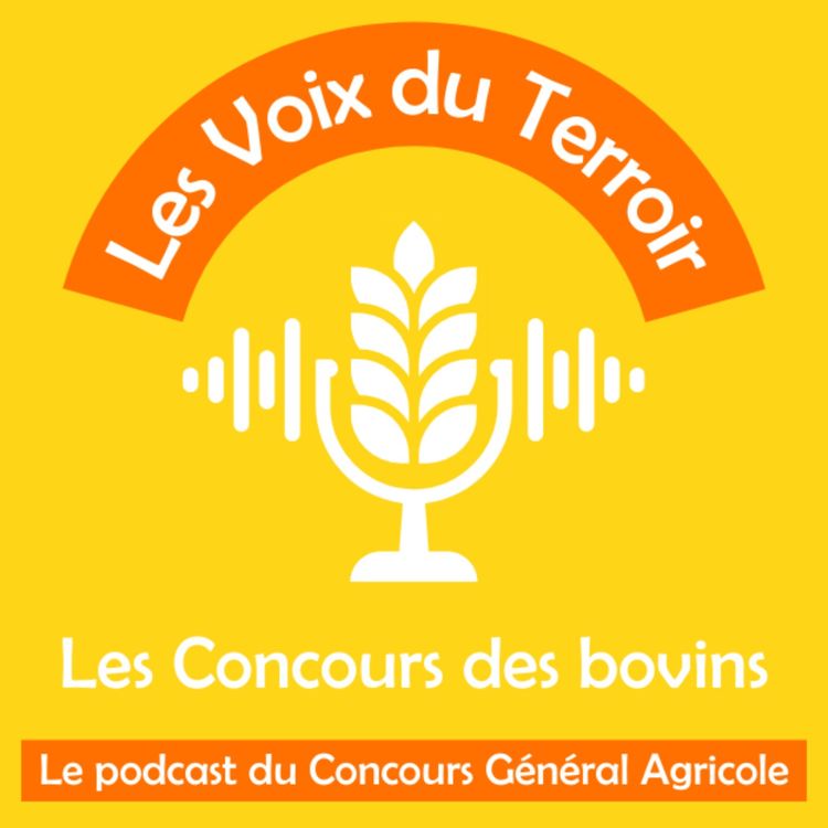 cover art for Les Concours des bovins