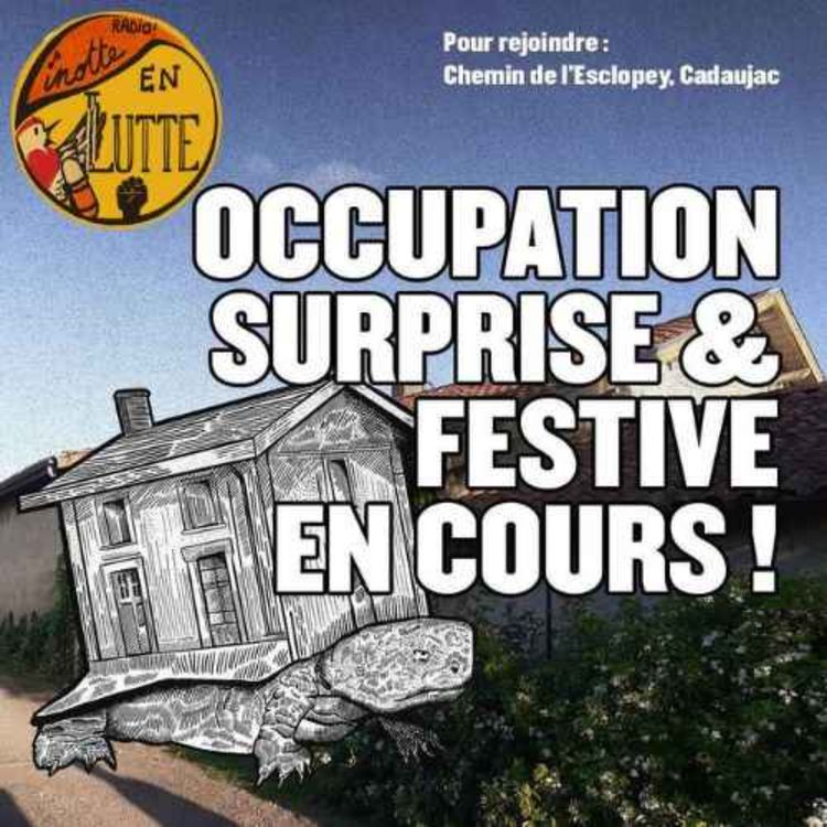 cover art for Manifestation anti-LGV - La Linotte en lutte