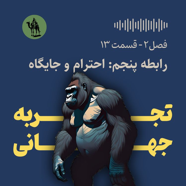cover art for رابطه پنجم: احترام و جایگاه (عوامل موثر بر اضطراب و افسردگی)