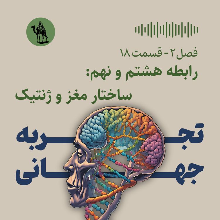 cover art for رابطه هشتم و نهم: ساختار مغز و ژنتیک (عوامل موثر بر اضطراب و افسردگی)
