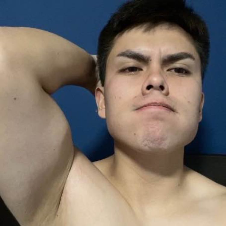 cover art for El fin de las flexiones…