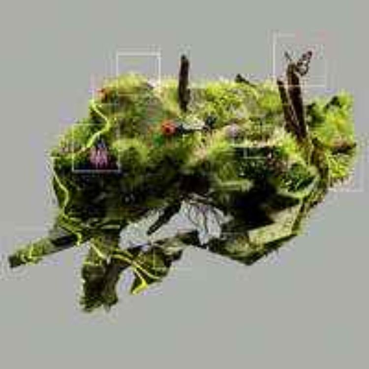 cover art for IT for Green