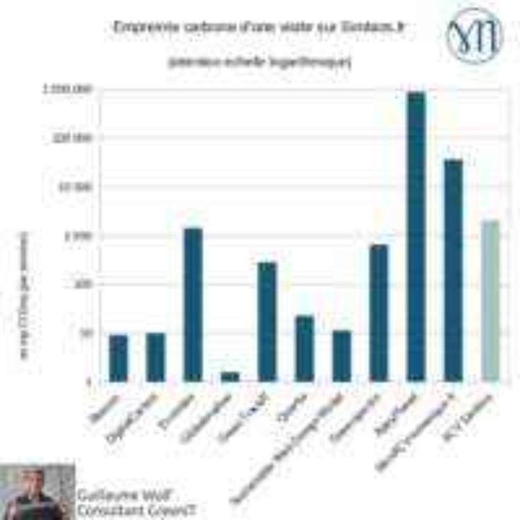 cover art for Audit environnemental du site Simbios.fr