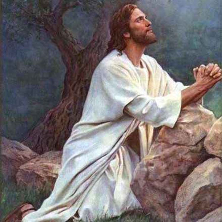 cover art for La Agonía de Jesús en el Huerto de Getsemaní | Pasión de Cristo