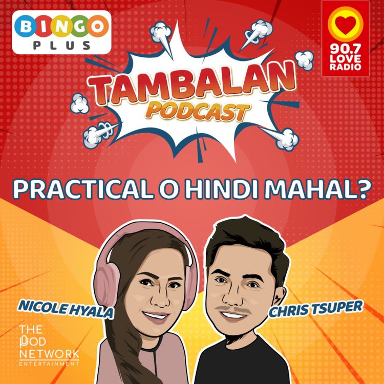 cover art for Practical o hindi mahal?