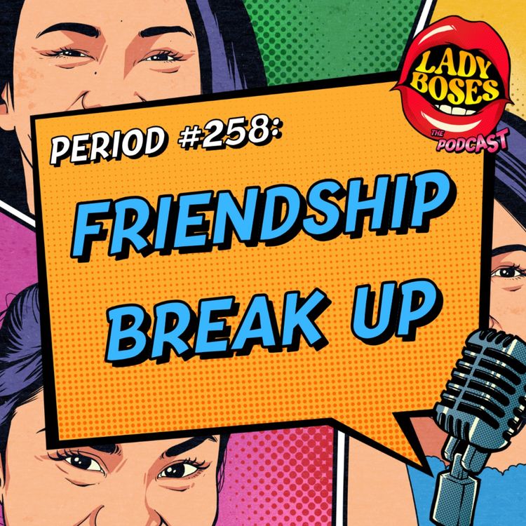cover art for Period 258: Friendship Break Up