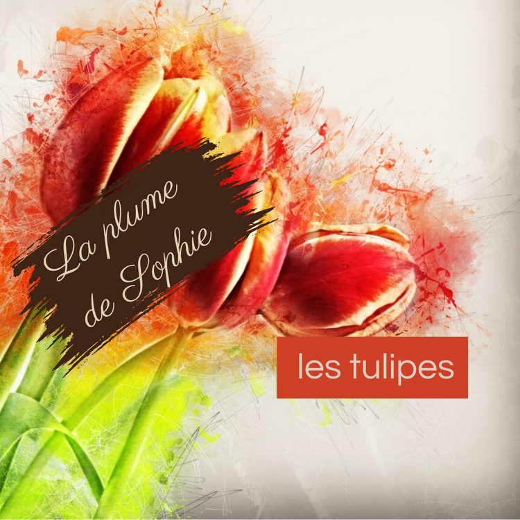 cover art for Les tulipes