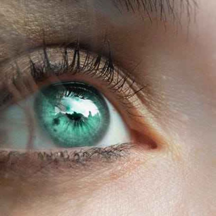 cover art for Kate Shemirani: Eyes, Eye Floaters & Eyes To See