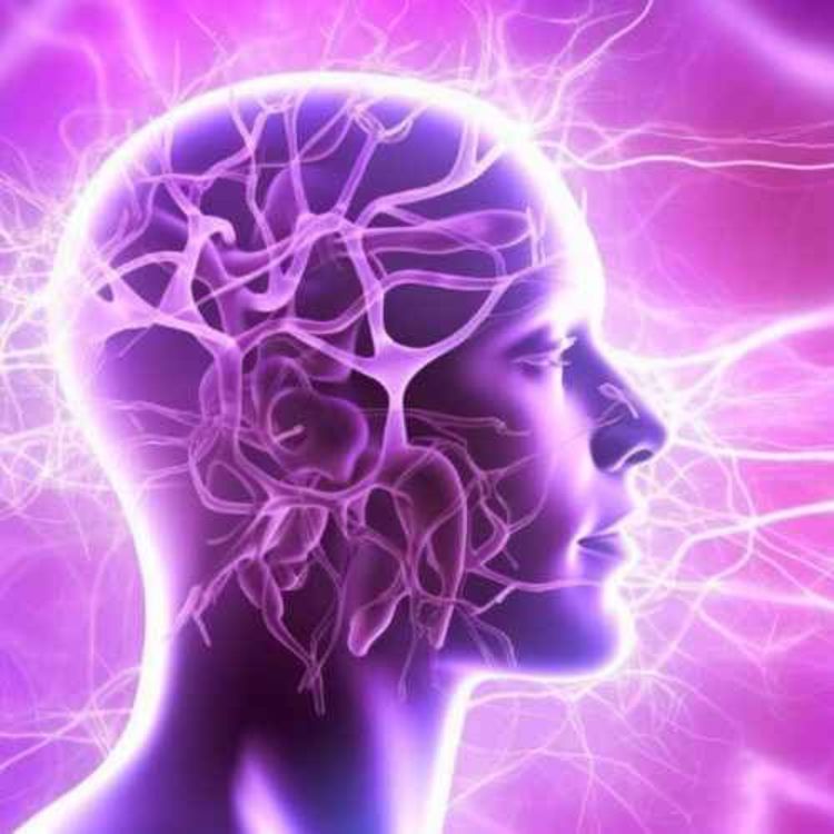 cover art for Kate Shemirani & Stuart Wilkie: Epilepsy - Forgotten Remedy Or Hidden Treatment?