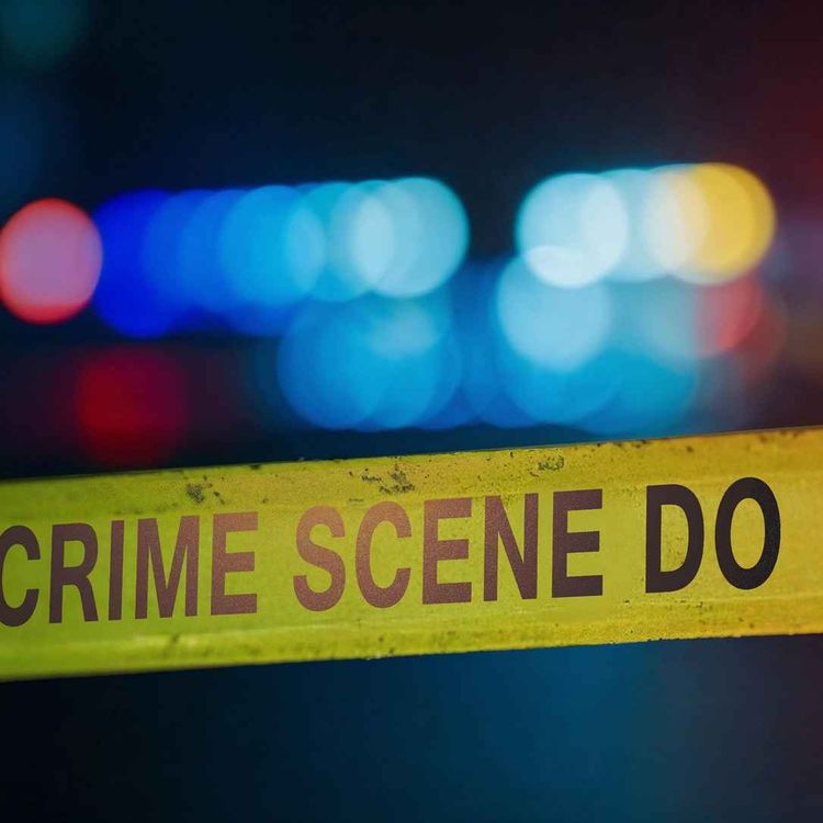 cover art for Kate Shemirani & Stuart Wilkie: The Coverup Of Suspicious Death Of Nurse's Daughter Just Went Nuclear