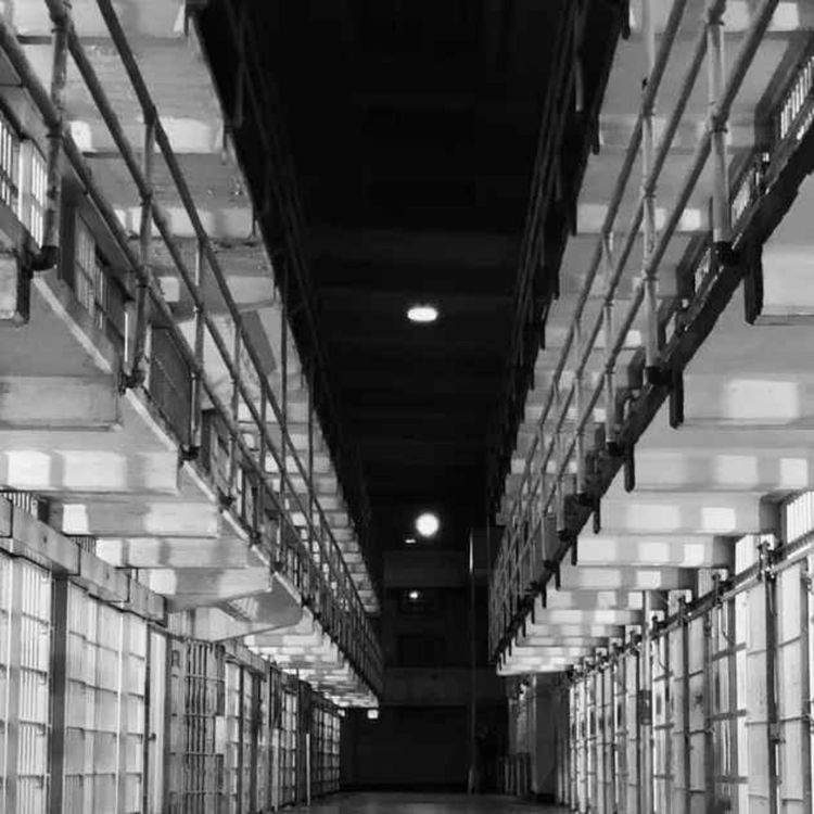 cover art for Kate Shemirani & Stuart Wilkie: Are We All Now On Death Row?