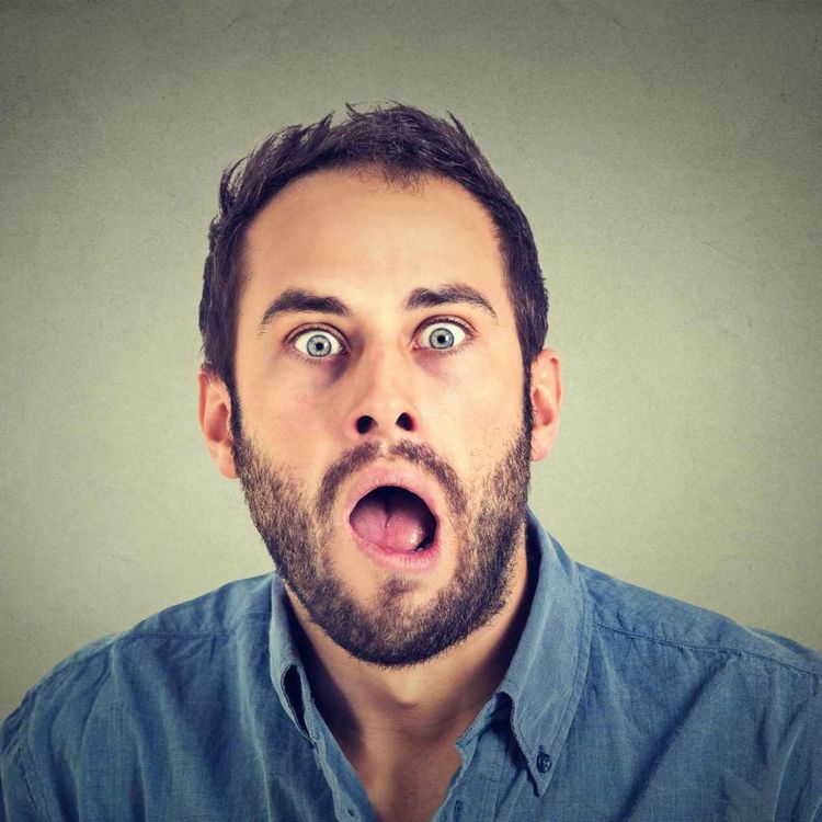 cover art for Would You Look At This! Epstein List, Alligator Alcatraz & More