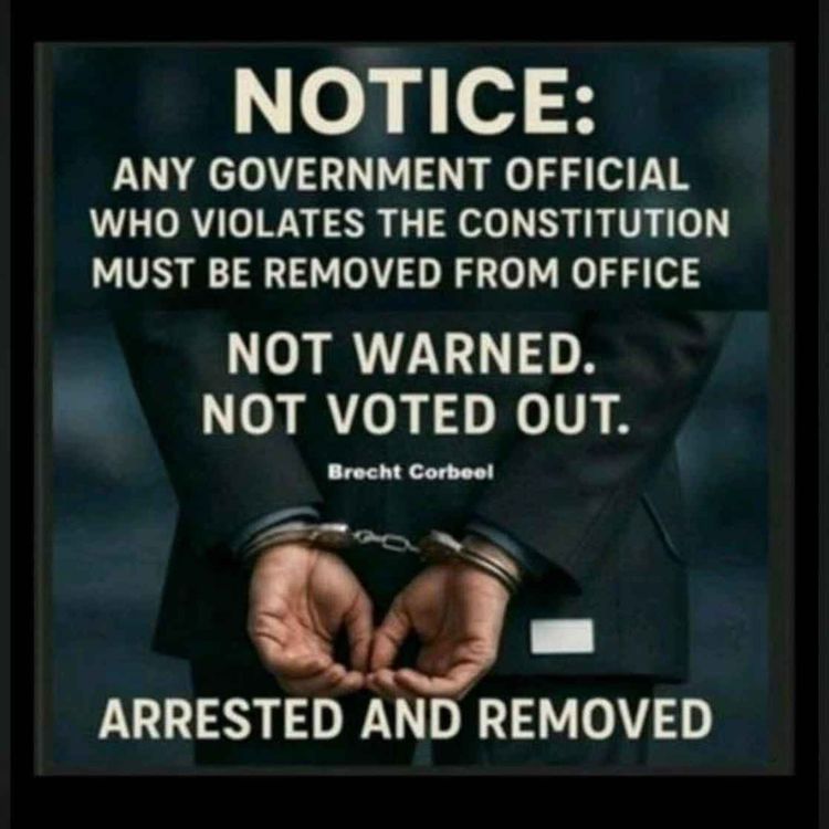 cover art for Pushing Back!