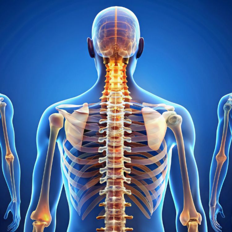 cover art for Standing Tall: Spine Alignment With Kate Shemirani