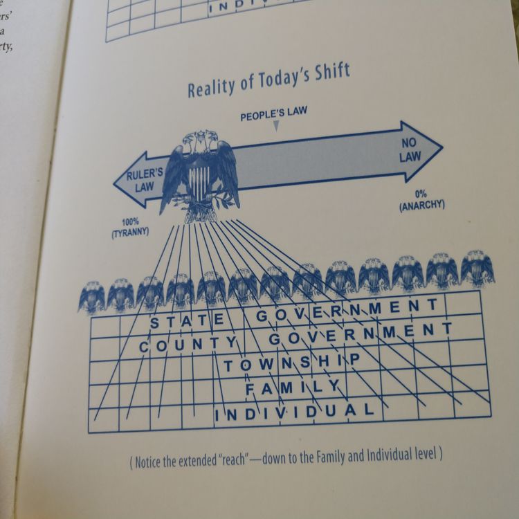 cover art for State Of Crisis: The Cultural Grab For Mental Health, Emotional States & Behavior Patterns