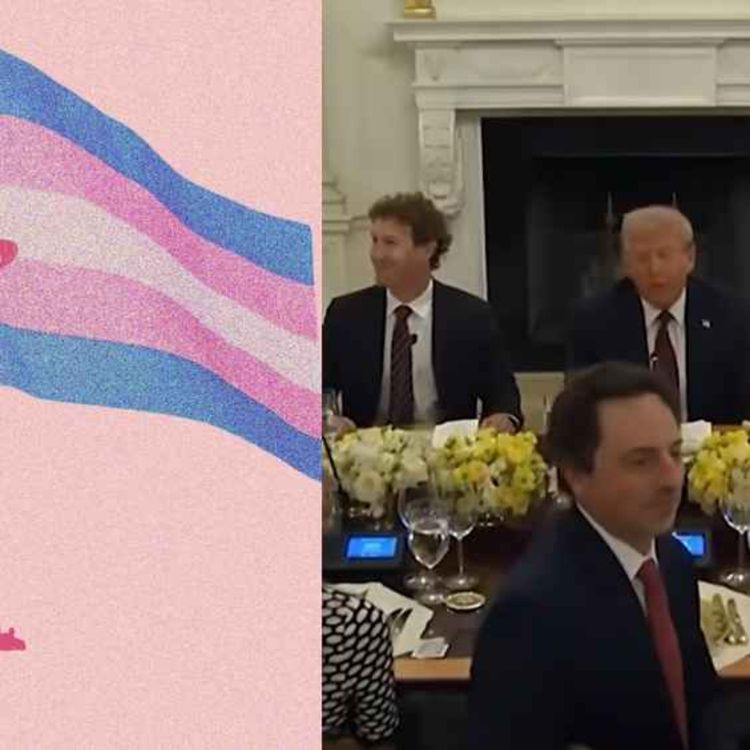 cover art for This Is Not 5D Chess & You All Know It!